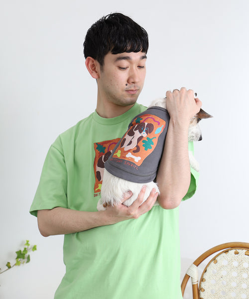 布列塔尼猎犬短背心为狗
