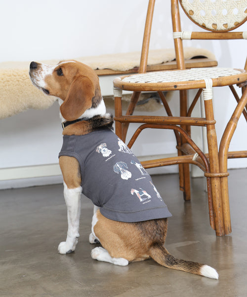 British Dogs 狗背心