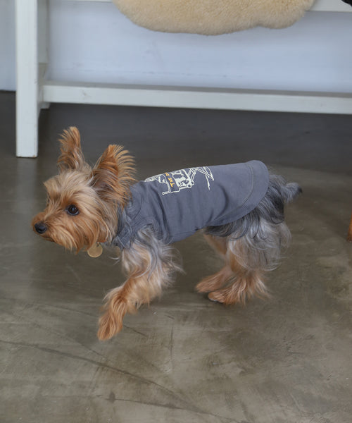 Rin Tin Tin 狗背心