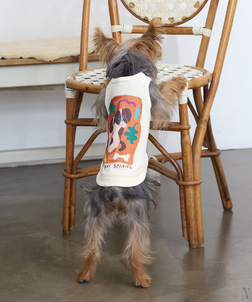 布列塔尼猎犬短背心为狗