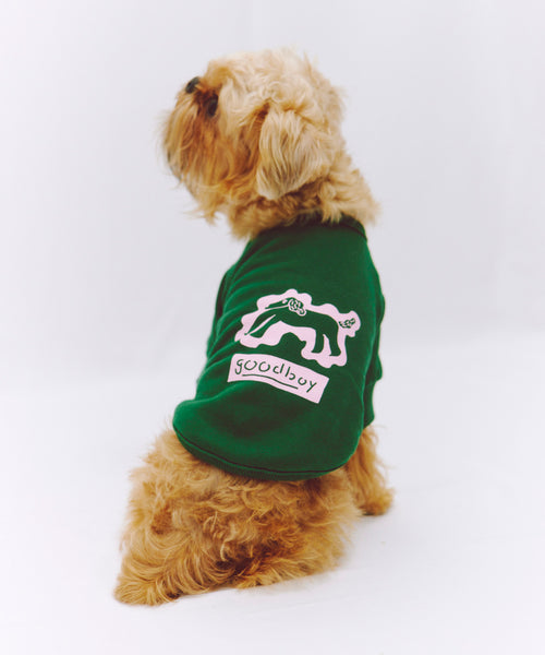 布列塔尼猎犬短背心为狗