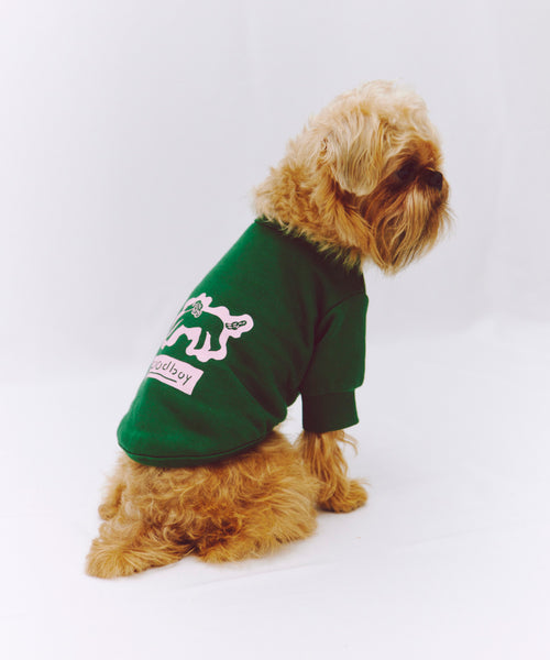 Playing Dog スウェット ドッグの着用イメージ