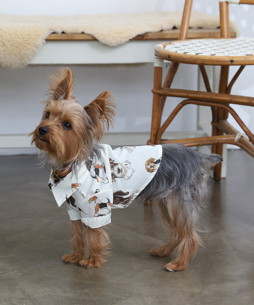British Dogs Shirts For Dog（ドッグ）