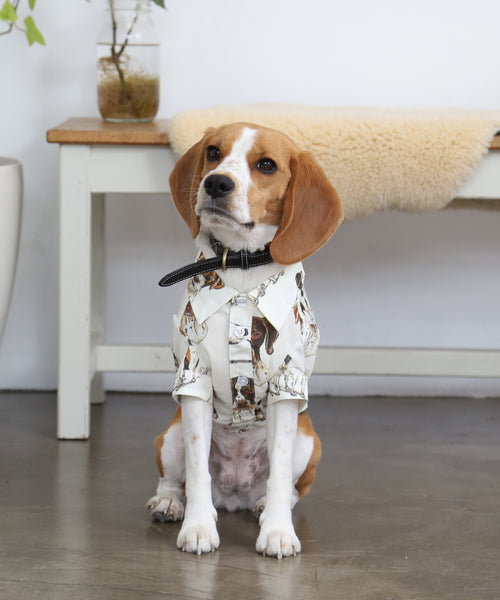 British Dogs Shirts For Dog（ドッグ）
