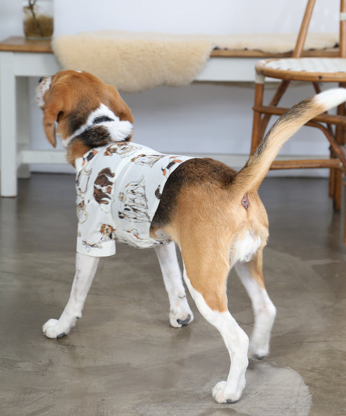 British Dogs Shirts For Dog（ドッグ）