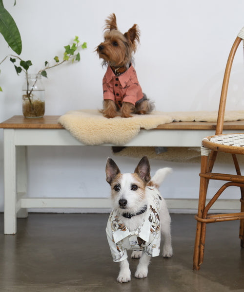 British Dogs Shirts For Dog（ドッグ）