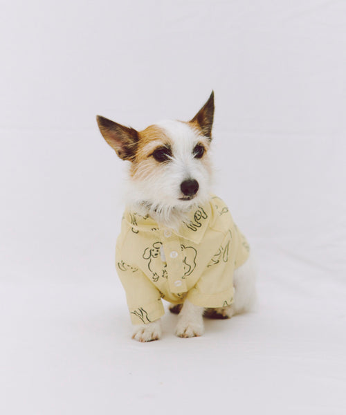 Various dogs Shirts For Dog（ドッグ）