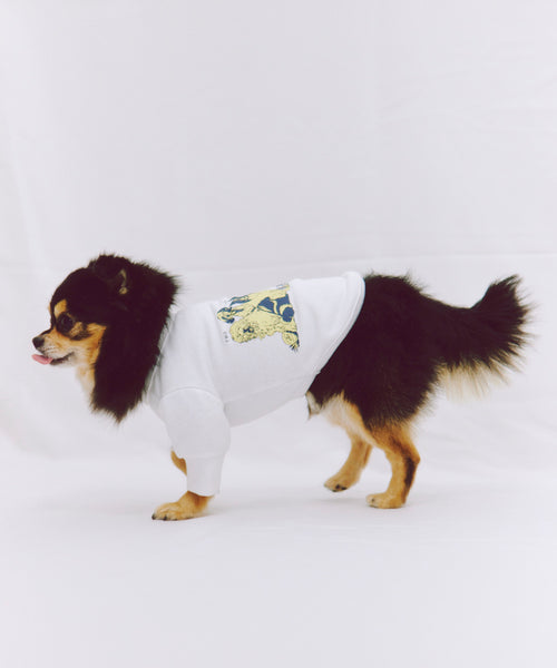Two of a kind Sweat 愛犬用 ホワイト ロングコートチワワの着用写真
