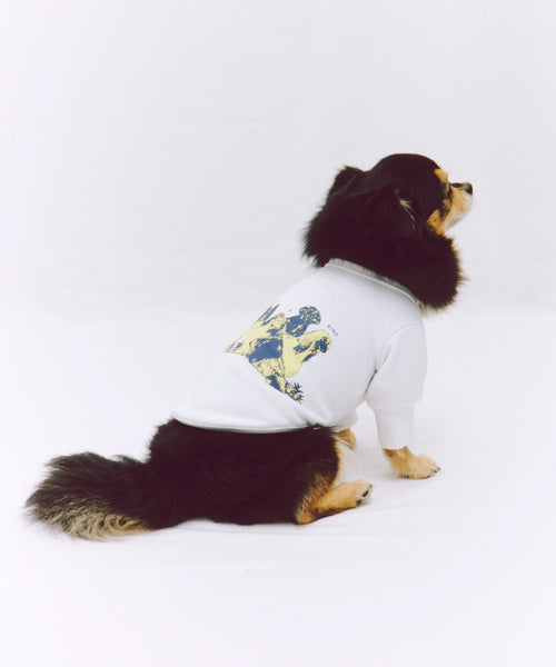 Two of a kind Sweat 愛犬用 ホワイト 背面のプリントが見えるロングコートチワワの着用写真