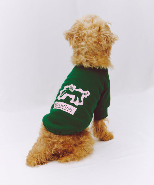 Playing Dog Sweat 愛犬用 グリーン 背面の「goodboy」プリントが見える着用写真