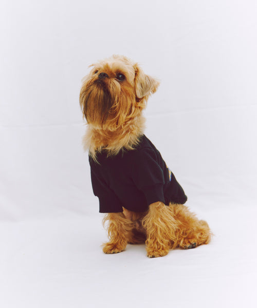Two of a kind Sweat 愛犬用 ブラック 正面からの着用写真