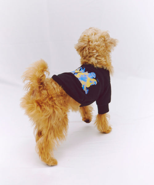 Two of a kind Sweat 愛犬用 ブラック プードルの背面からの着用写真