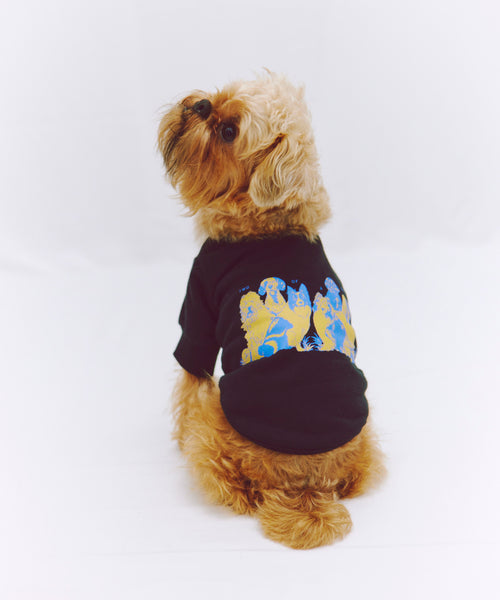 Two of a kind Sweat 愛犬用 ブラック 背面の青と黄色の犬のプリントが見える着用写真