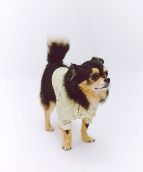 Various dogs Shirts For Dog（ドッグ）