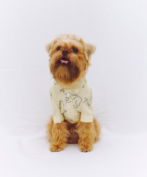 Various dogs Shirts For Dog（ドッグ）