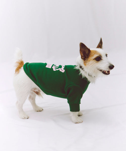Playing Dog Sweat 愛犬用 グリーン ジャックラッセルテリアの横からの着用写真