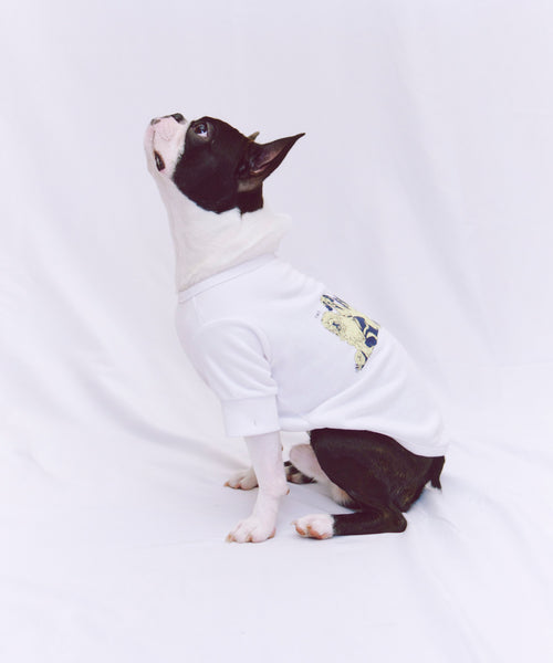 Two of a kind Sweat 愛犬用 ホワイト ボストンテリアの着用写真