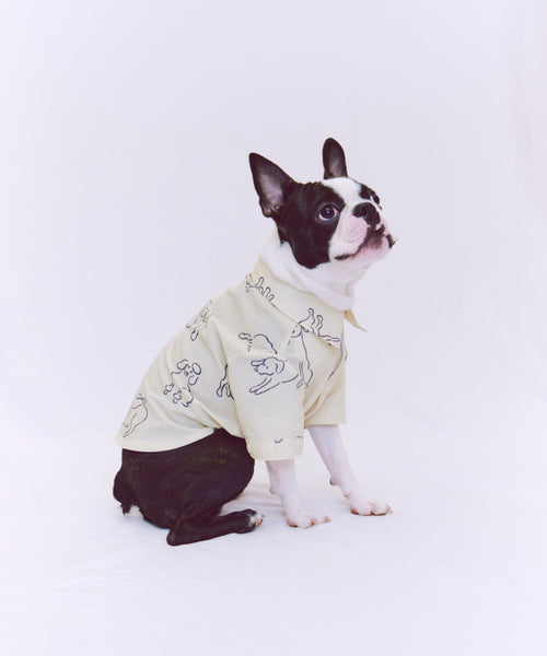 Various dogs Shirts For Dog（ドッグ）