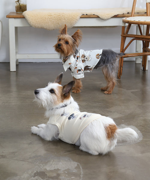 オフホワイトのBritish Dogs犬用タンクトップを着た2頭の小型犬の着用イメージ