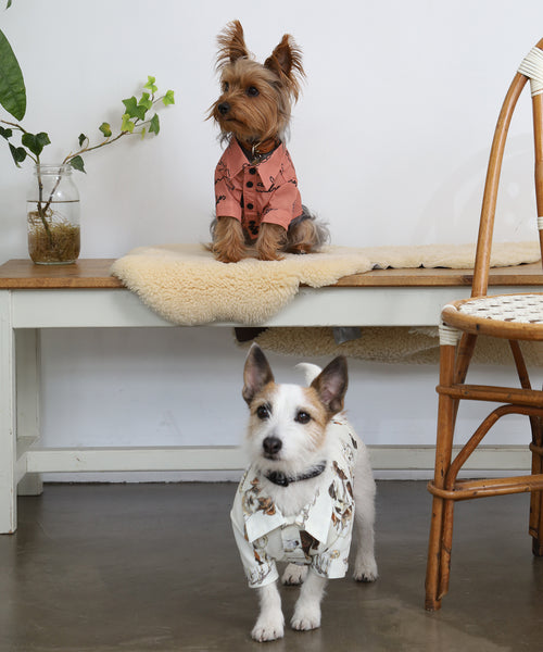 テラコッタのFlanders犬用シャツを着たヨークシャテリアがベンチに座り、手前にもう一頭の犬が立つ着用イメージ