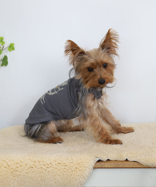 スミクロのRinTinTin犬用タンクトップを着たヨークシャテリアの正面着用イメージ