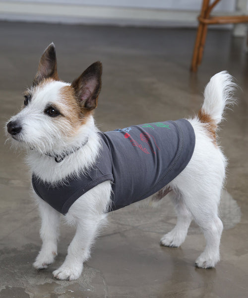 スミクロのFlanders犬用タンクトップを着たジャックラッセルテリア