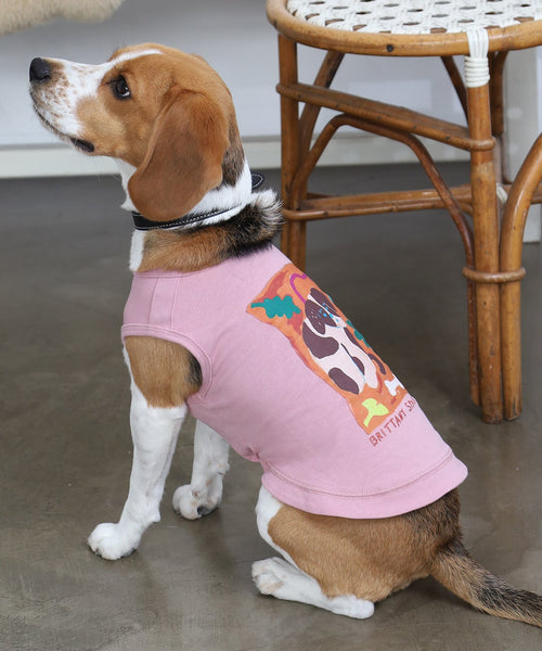 ピンクのBrittany Spanielタンクトップを着たビーグル