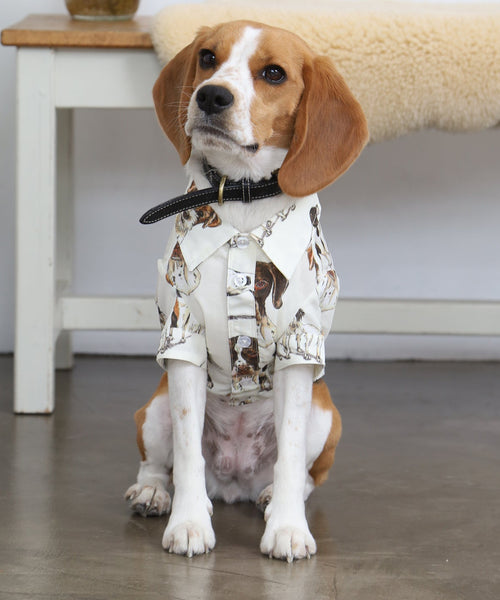 British Dogs シャツ ドッグを着たビーグル