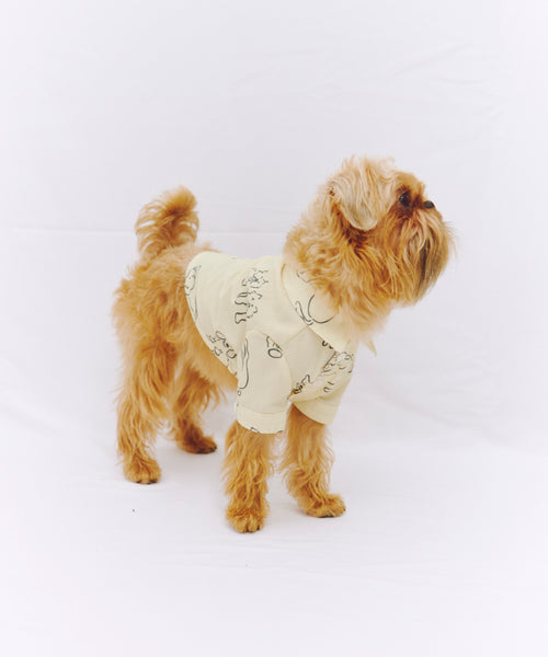Various dogs Shirts 愛犬用 茶色の長毛小型犬の横向き着用イメージ
