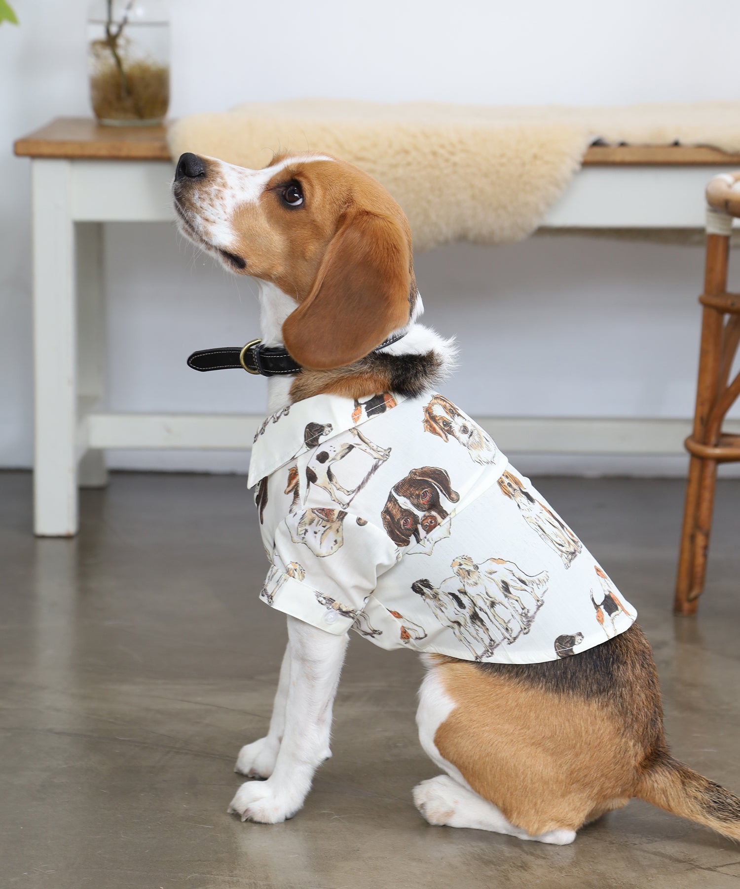 sumif | British Dogs Shirts For Dog（ドッグ）| 犬用シャツ