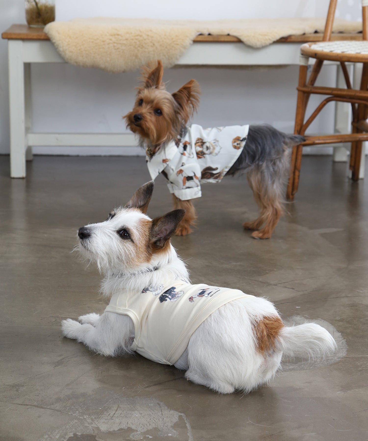 sumif | British Dogs Shirts For Dog（ドッグ）| 犬用シャツ