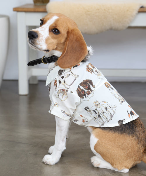 British Dogs Shirts For Dog（ドッグ）