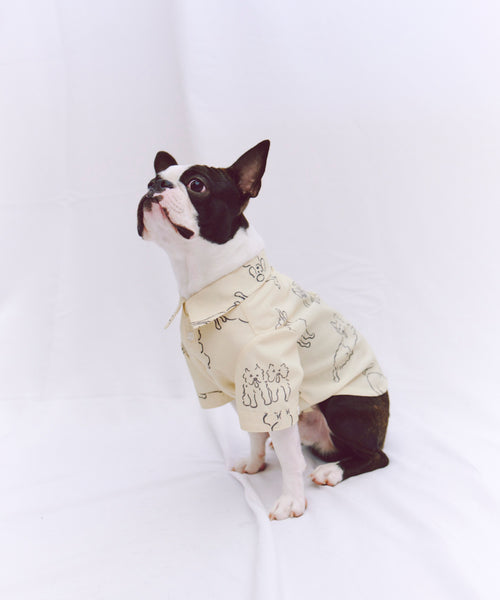 Various dogs Shirts For Dog（ドッグ）